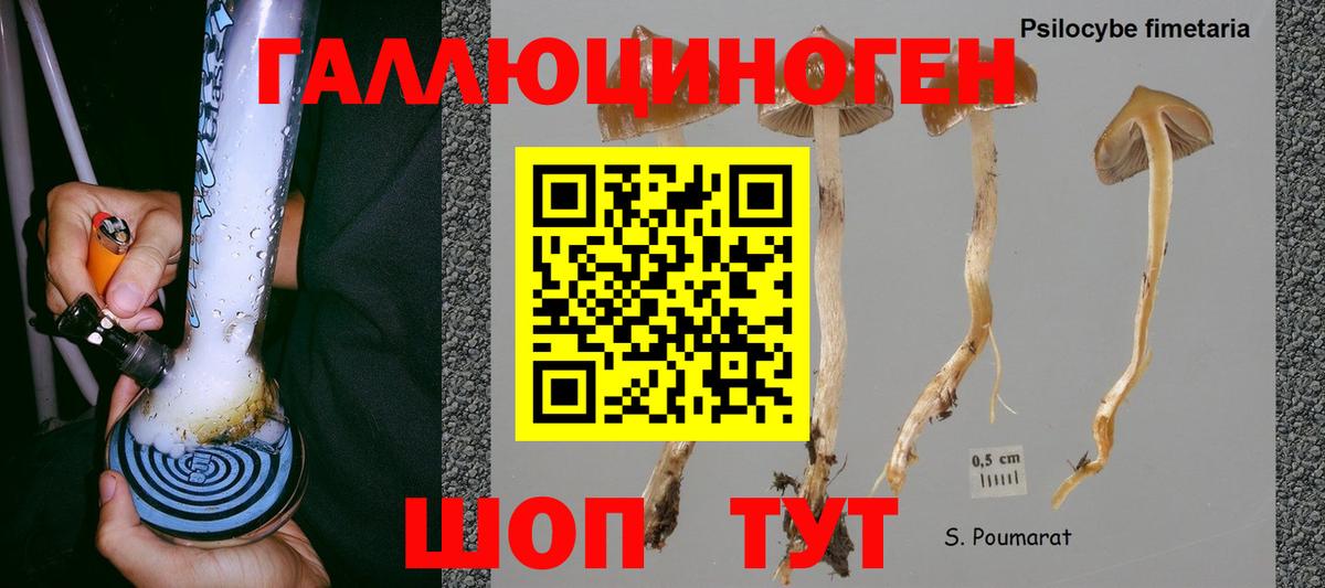 Новороссийск  цены наркотик  Галлюциногенные грибы Magic Shrooms  Вход с VPN  Галлюциногенные грибы MAGIC MUSHROOMS 